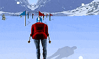 Ski-Slalom